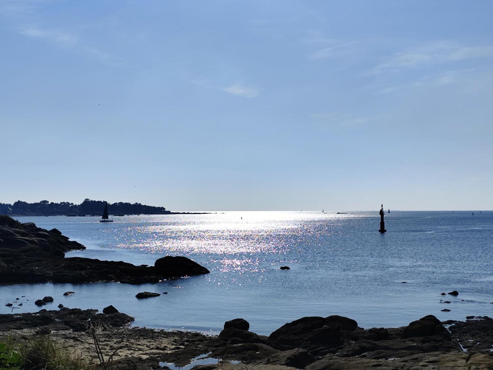 Les Reflets De Rivage Avec Garage Privatif - 350M Plage Concarneau Ngoại thất bức ảnh